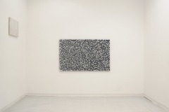 20062